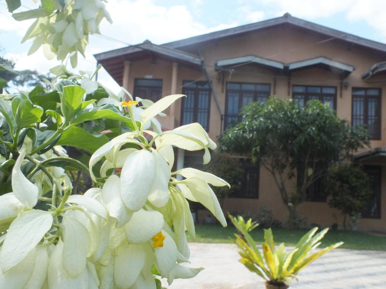 Hillsview Rest & Guest House マータレー エクステリア 写真