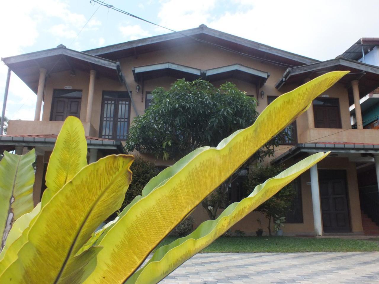 Hillsview Rest & Guest House マータレー エクステリア 写真